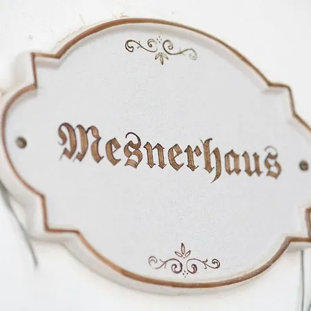 Plaatsje In Het Mesnerhuis Holiday home